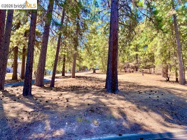 19621 Cottonwood St Groveland, CA 95321