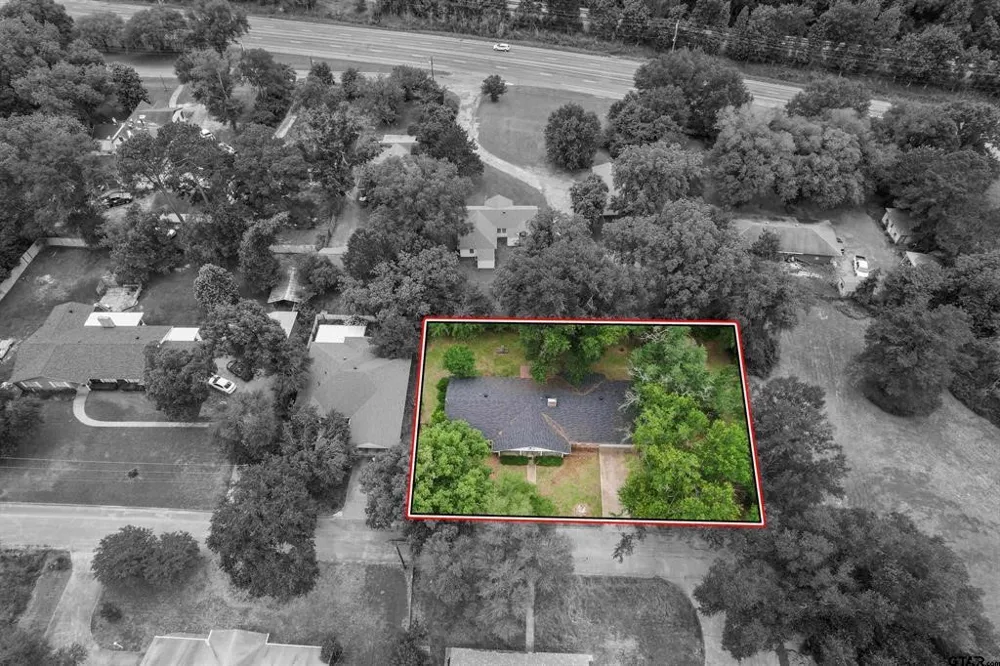 725 W BLAIR ST Mineola, TX 75773
