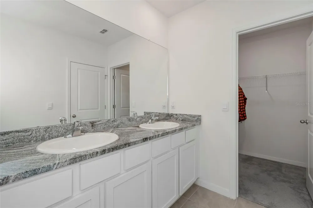 17226 AMBER ASPEN WAY Land O Lakes, FL 34638