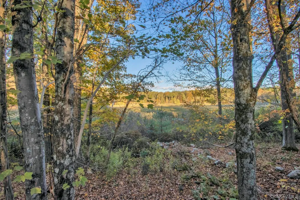 120 Dashville Road Esopus, NY 12561