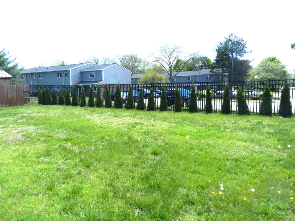 210 Market Place Benton Harbor City, MI 49022