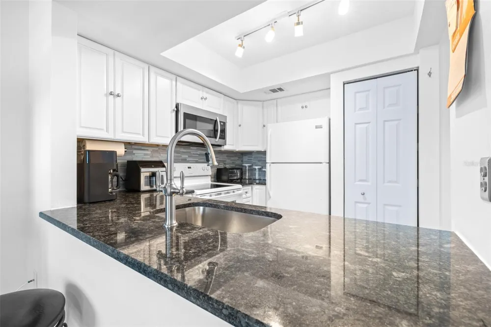 1250 S PINELLAS AVENUE #711 Tarpon Springs, FL 34689