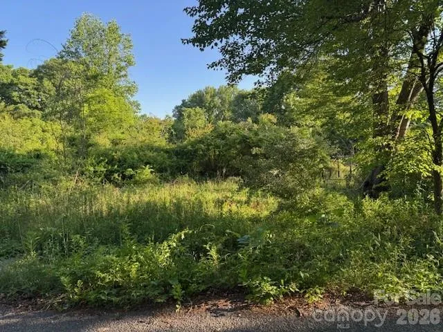 202 Dundee Street Hendersonville, NC 28791