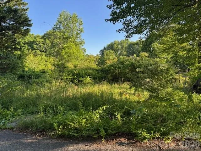 202 Dundee Street Hendersonville, NC 28791