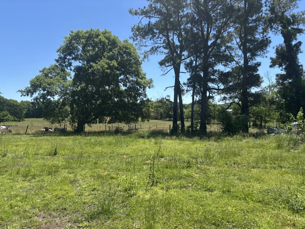 10171 Rockvale Rd Rockvale, TN 37153