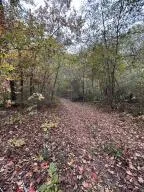 7810 Lee Highway Cleveland, TN 37312