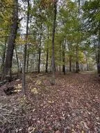 7810 Lee Highway Cleveland, TN 37312
