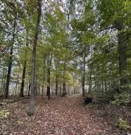 7810 Lee Highway Cleveland, TN 37312