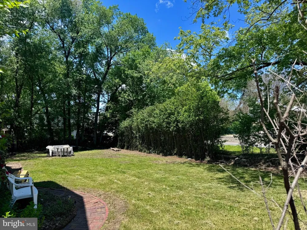 SPRINGDALE STREET Cumberland, MD 21502