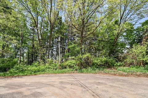 67544 Thunderbird Drive