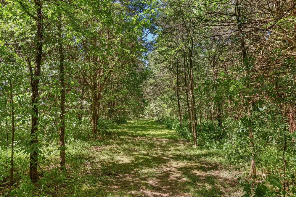 642 Beach Bottom Rd Watertown, TN 37184