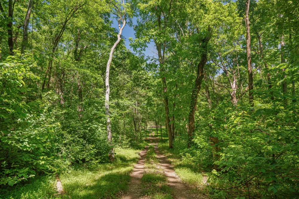 642 Beach Bottom Rd Watertown, TN 37184