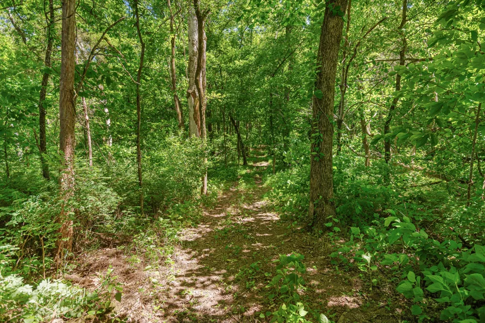 642 Beach Bottom Rd Watertown, TN 37184