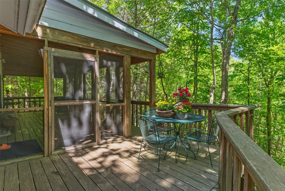 1915 W. Christy Trail Sapphire, NC 28774