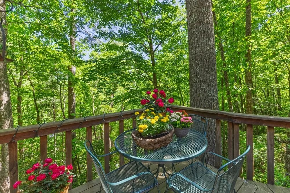 1915 W. Christy Trail Sapphire, NC 28774