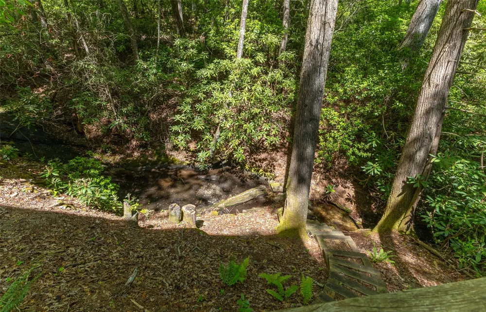 1915 W. Christy Trail Sapphire, NC 28774