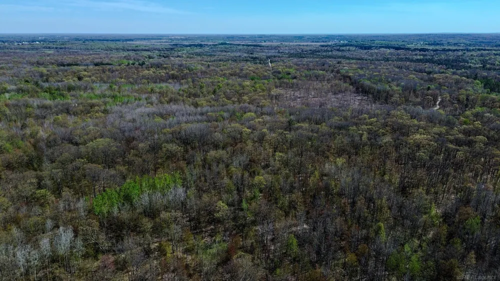 Woodsway Drive Hamilton Township, MI 48625