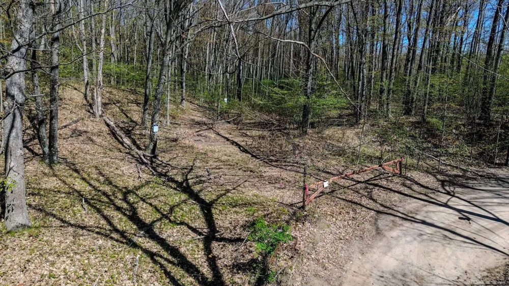 Woodsway Drive Hamilton Township, MI 48625