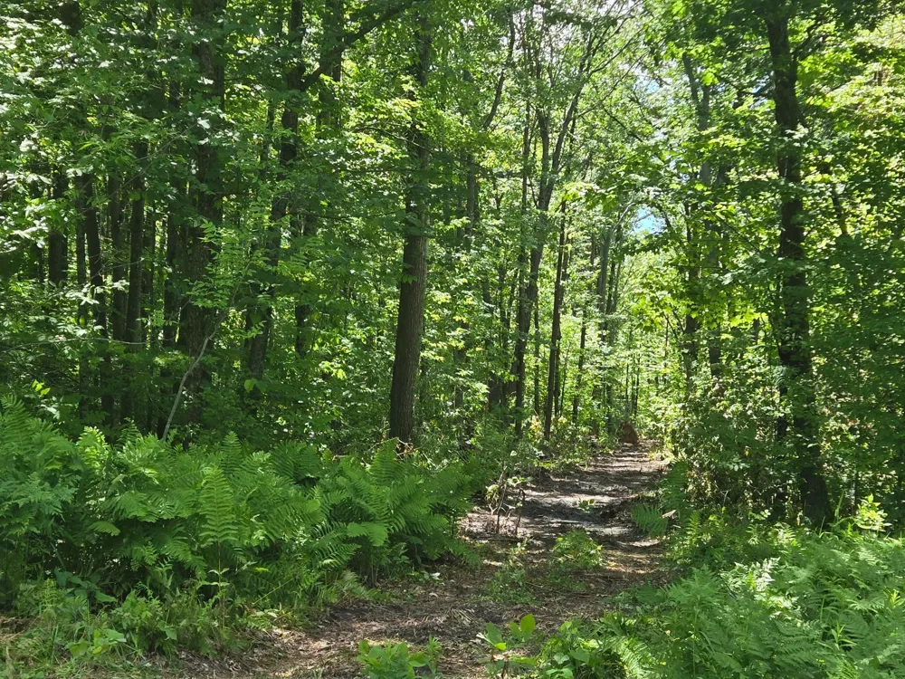 TBD Marsh Road Milaca, MN 56353