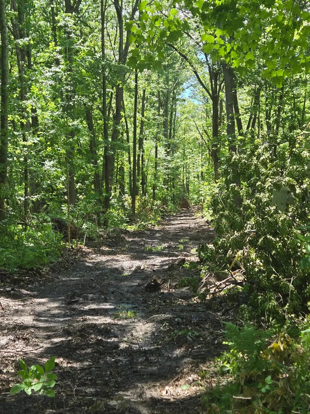 TBD Marsh Road Milaca, MN 56353