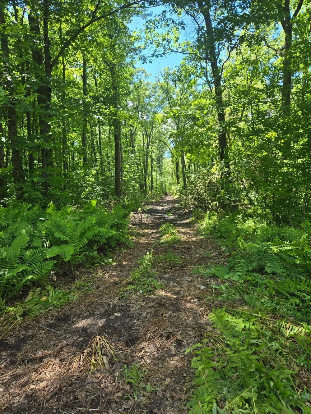 TBD Marsh Road Milaca, MN 56353