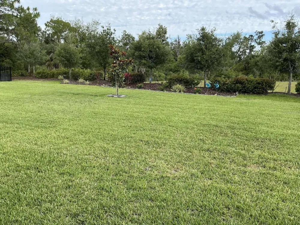 1982 W PALMS DRIVE Port Charlotte, FL 33953