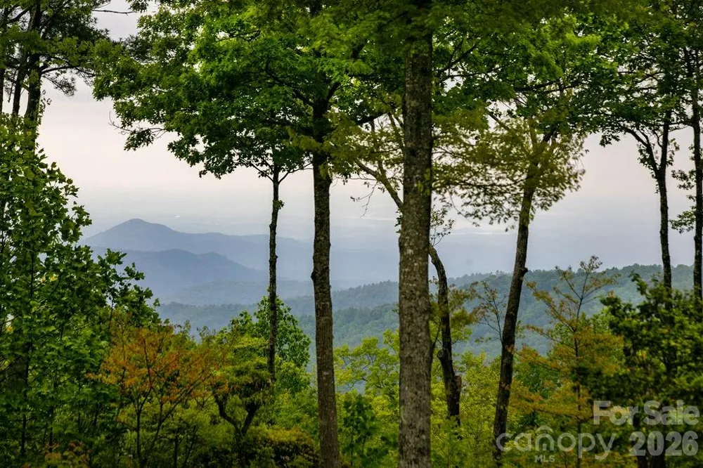 111 Wild Hog Creek Road Rosman, NC 28772
