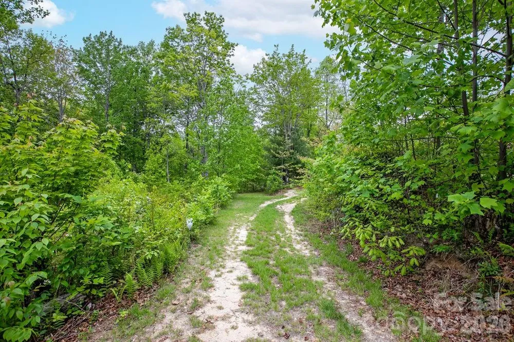 111 Wild Hog Creek Road Rosman, NC 28772