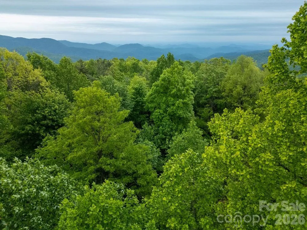 111 Wild Hog Creek Road Rosman, NC 28772