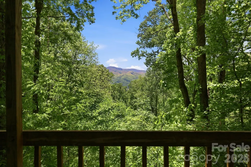 169 Sleepy Hollow Lane Canton, NC 28716