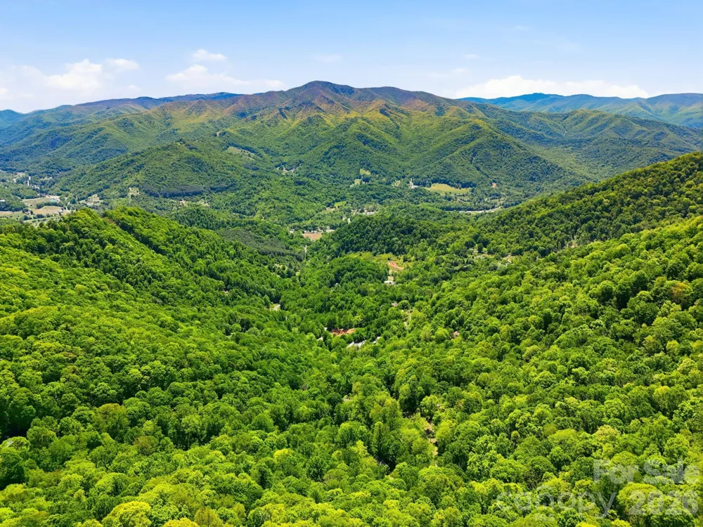 169 Sleepy Hollow Lane Canton, NC 28716