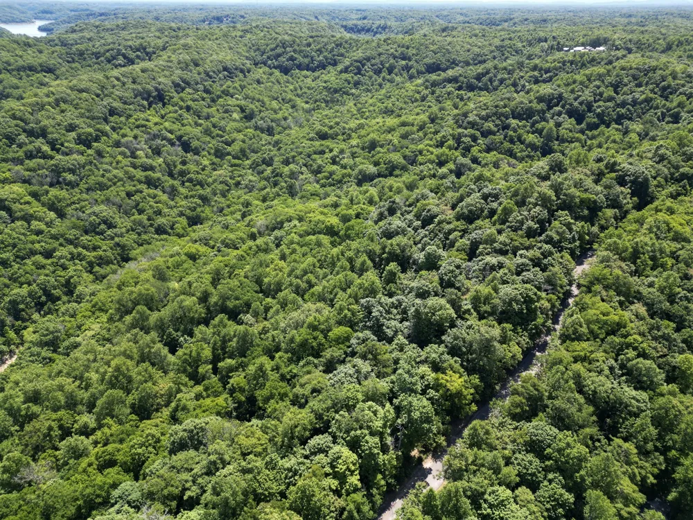 0 Coconut Ridge Road Smithville, TN 37166