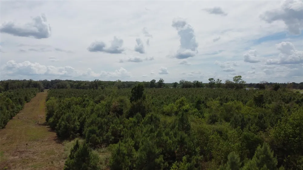 2 County Road 295 Garrison, TX 75946