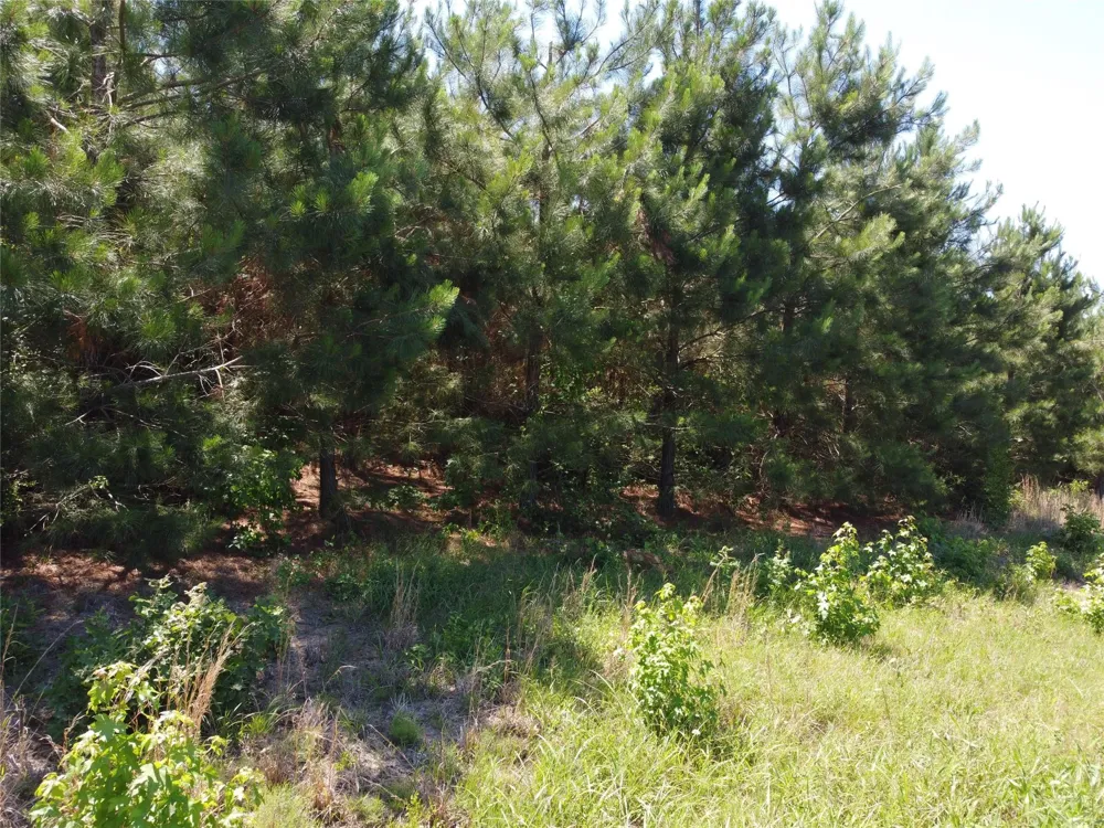 2 County Road 295 Garrison, TX 75946