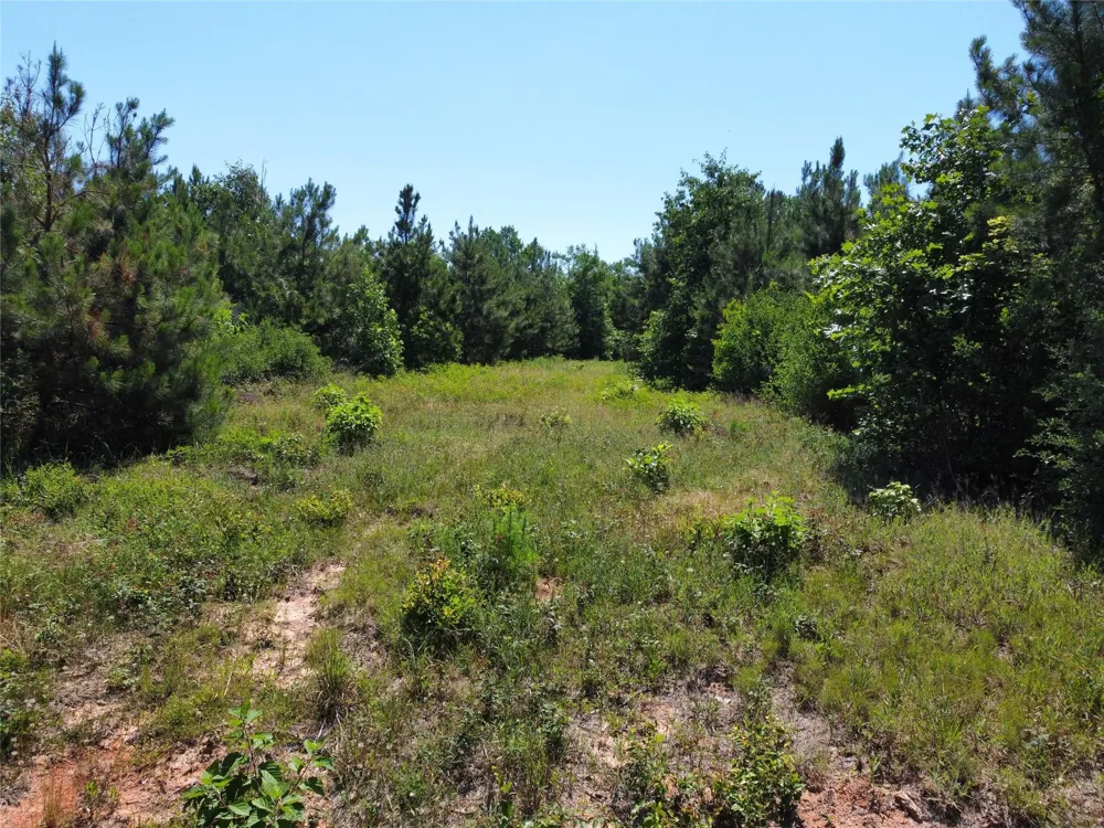 2 County Road 295 Garrison, TX 75946