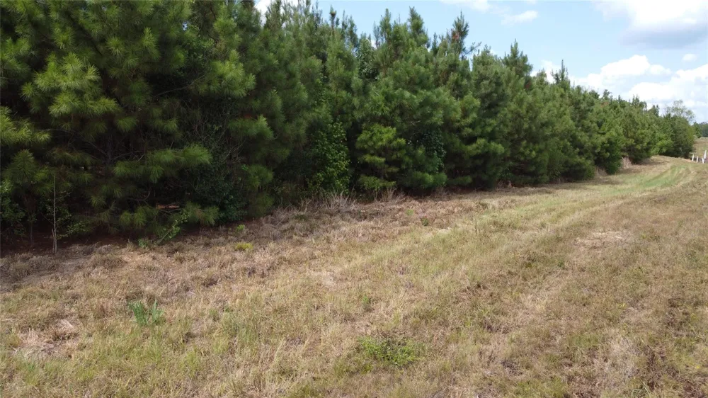 2 County Road 295 Garrison, TX 75946