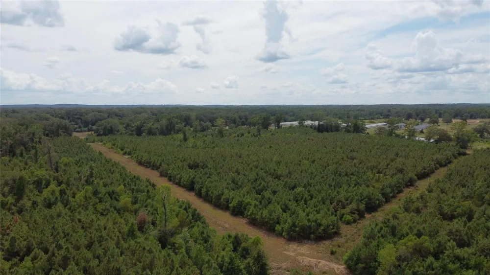 2 County Road 295 Garrison, TX 75946