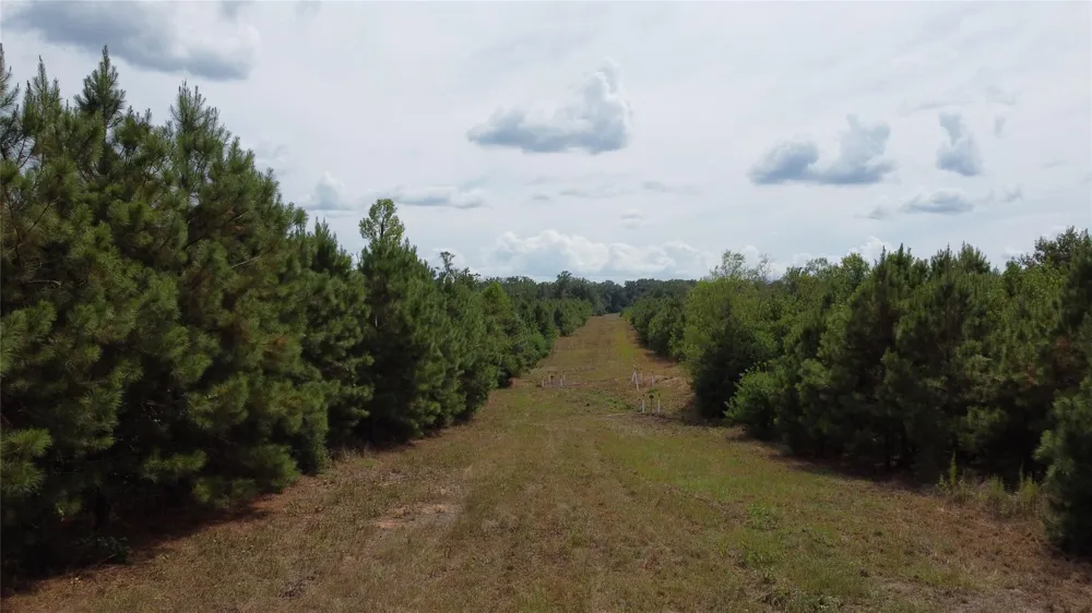 2 County Road 295 Garrison, TX 75946