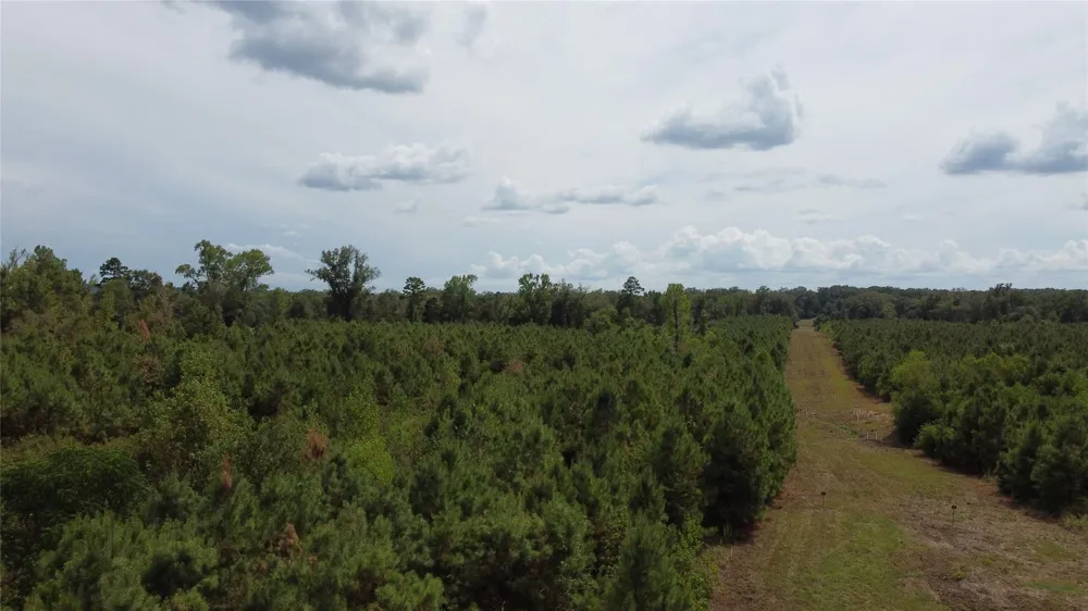2 County Road 295 Garrison, TX 75946