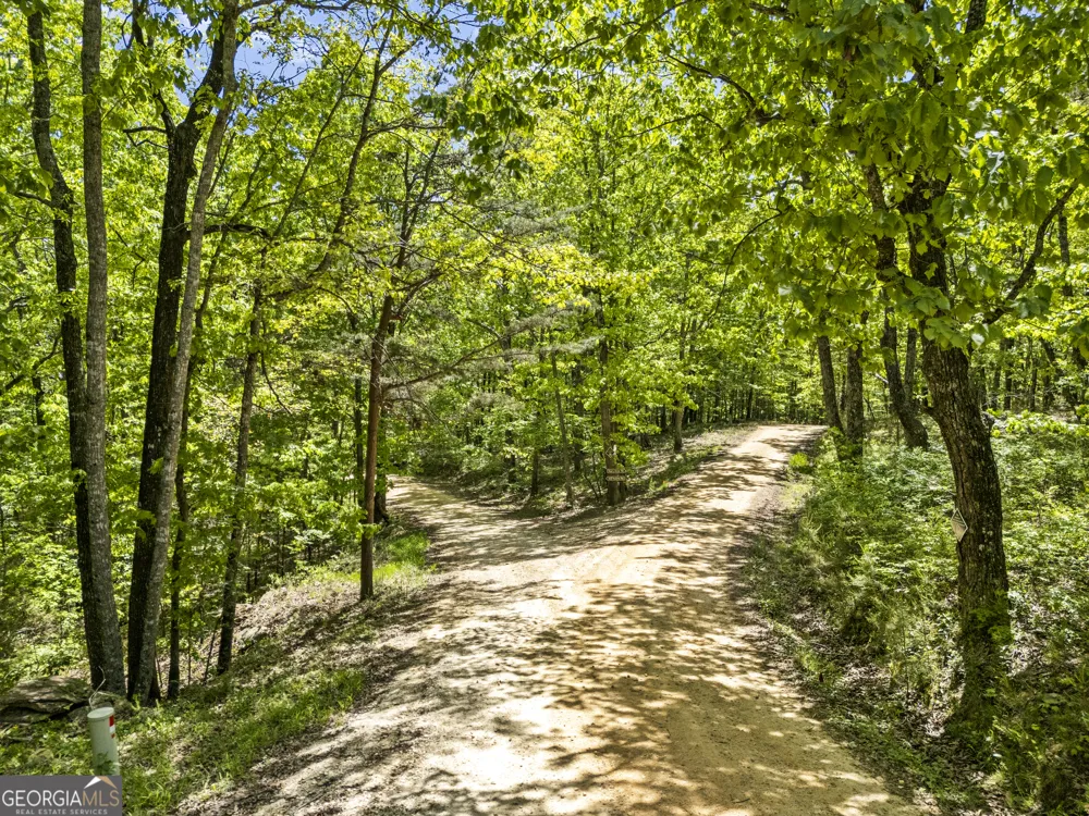 0 Neals Brow RD Menlo, GA 30731