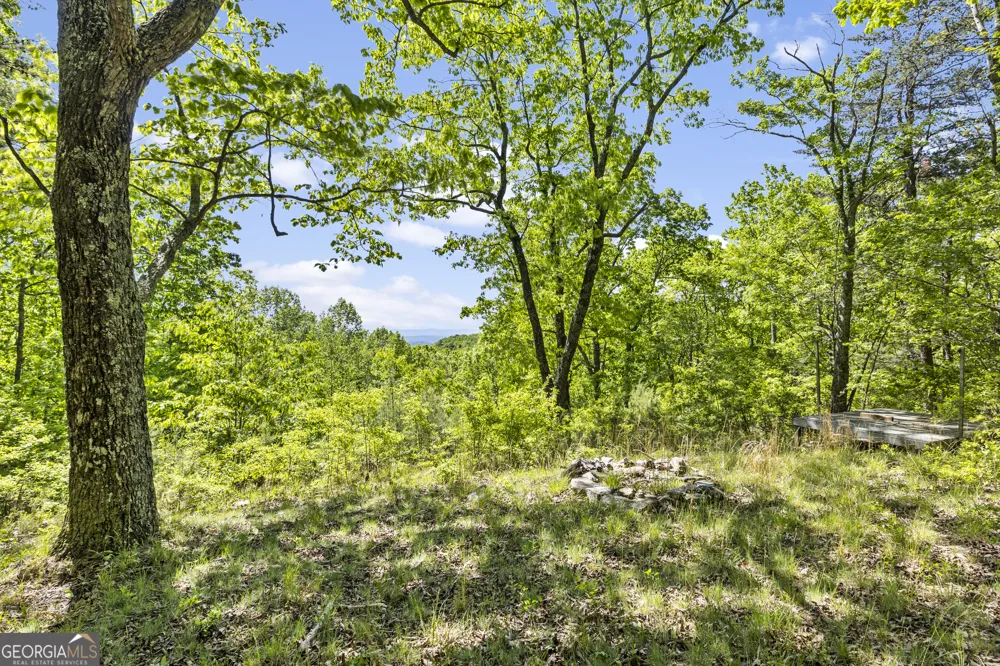 0 Neals Brow RD Menlo, GA 30731