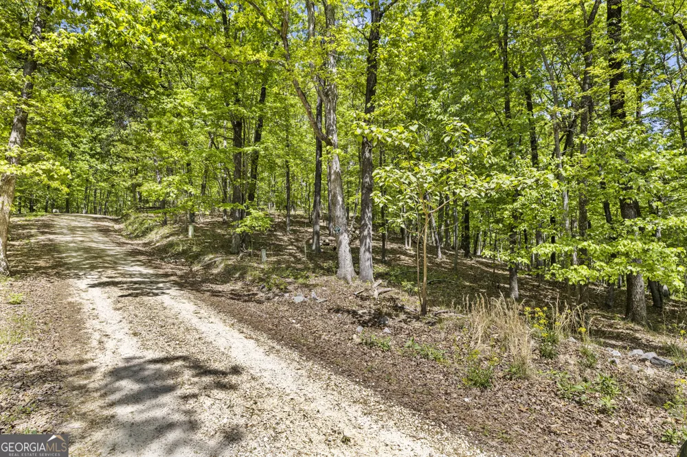 0 Neals Brow RD Menlo, GA 30731
