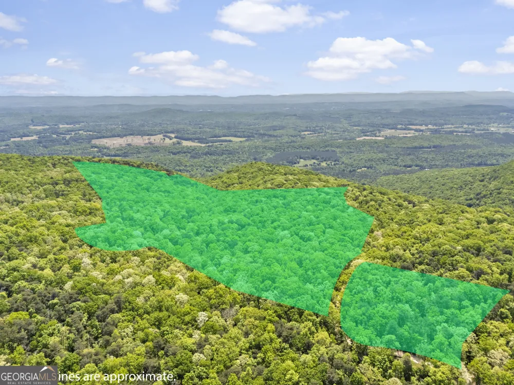 0 Neals Brow RD Menlo, GA 30731