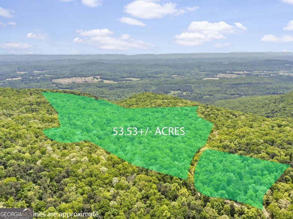 0 Neals Brow RD Menlo, GA 30731