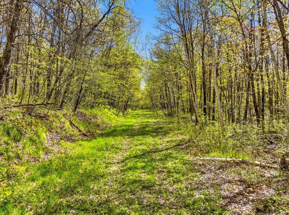 W6474 River Road Trego, WI 54888