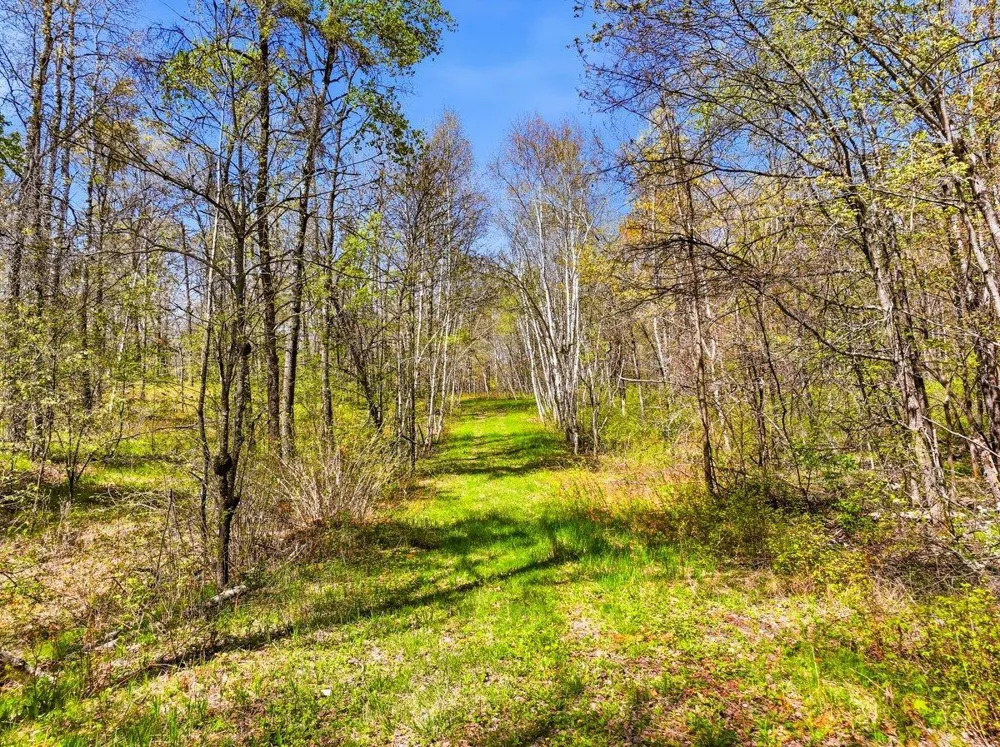 W6474 River Road Trego, WI 54888