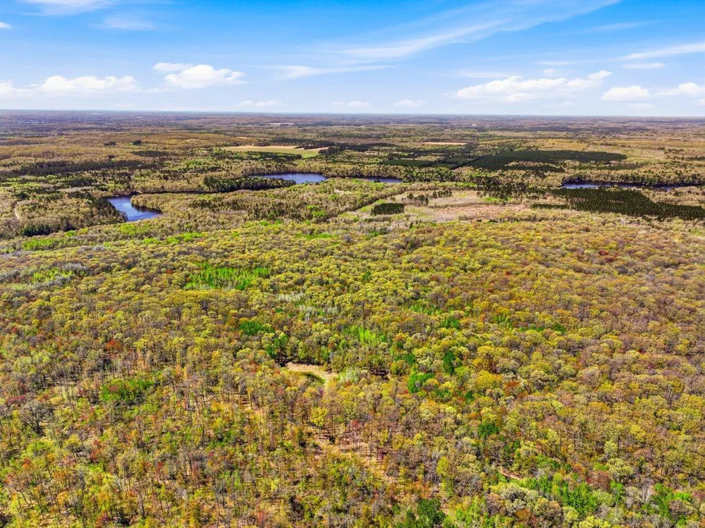 W6474 River Road Trego, WI 54888