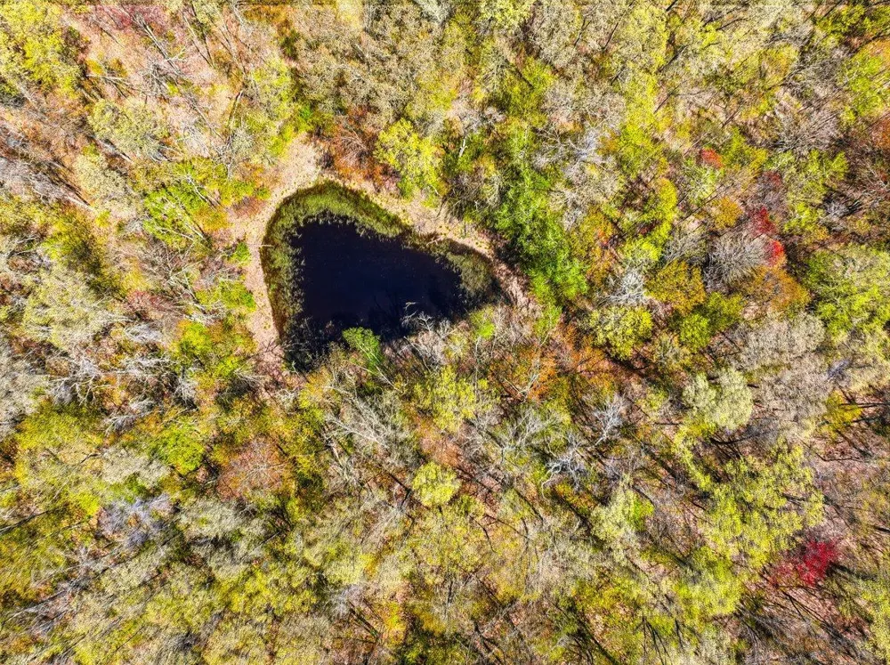 W6474 River Road Trego, WI 54888