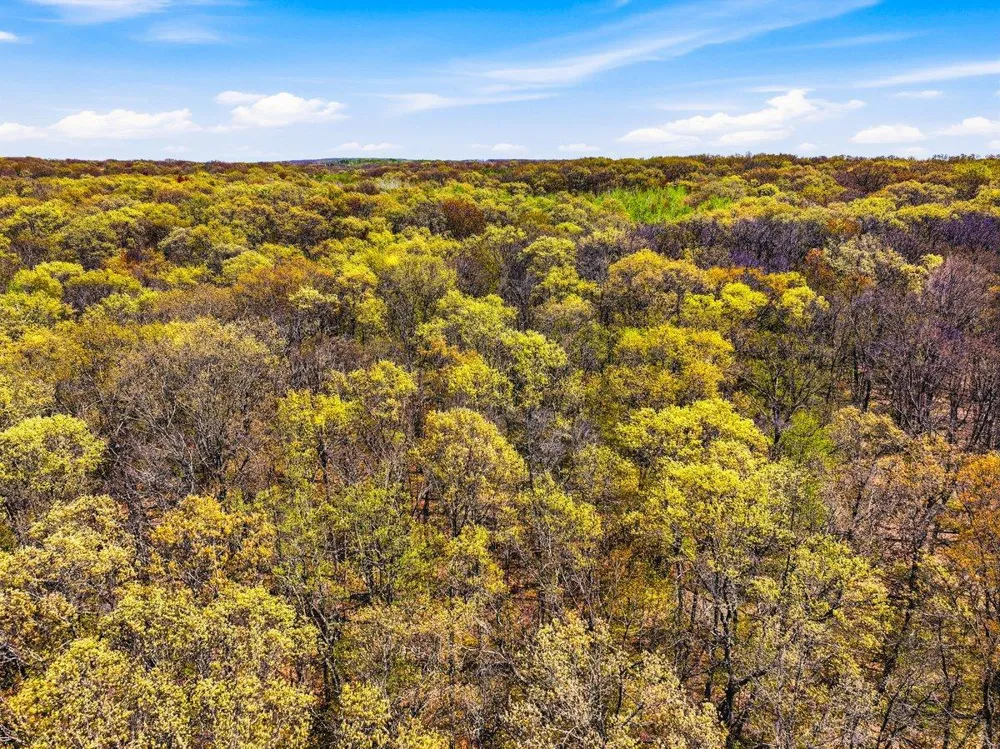 W6474 River Road Trego, WI 54888