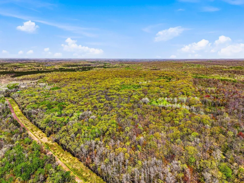 W6474 River Road Trego, WI 54888